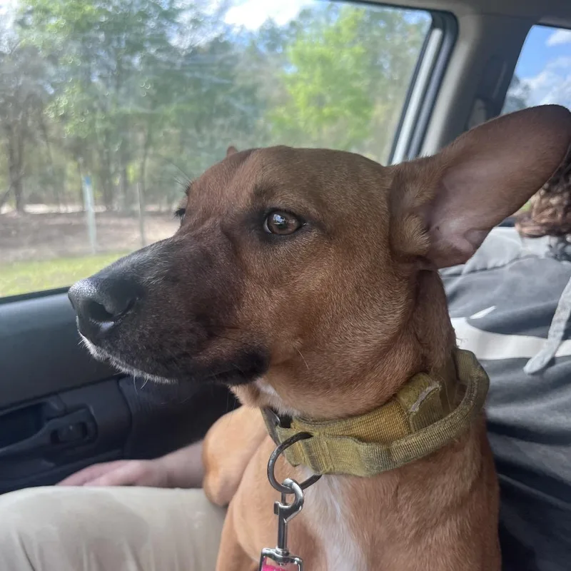 Happyrusty thumbnail 2