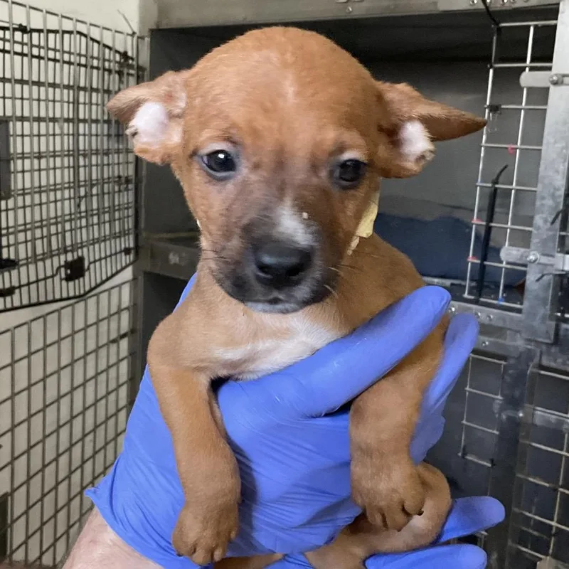 Happyrusty thumbnail 3