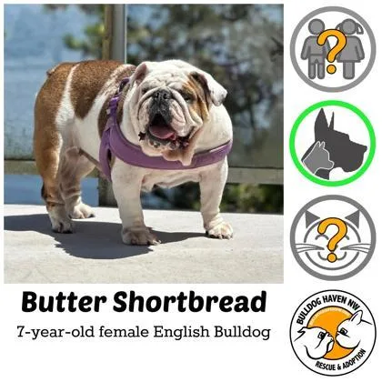 Butter Shortbread thumbnail 2