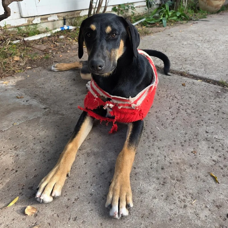 Hope & Faith & thumbnail 2