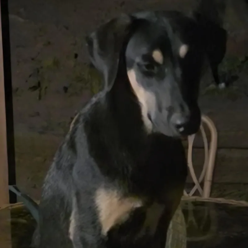 Hope & Faith & thumbnail 3