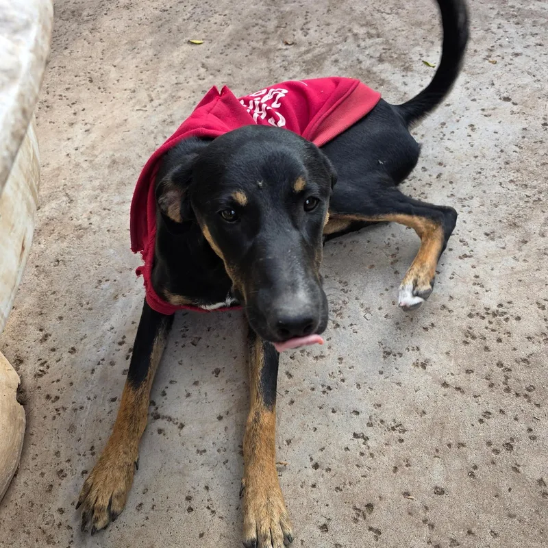 Hope & Faith & thumbnail 4