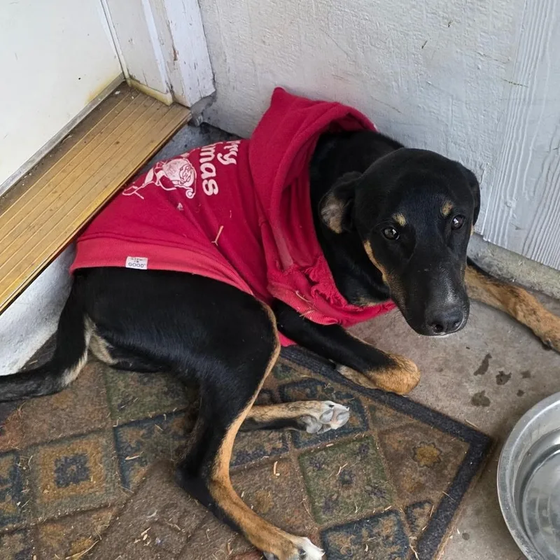 Hope & Faith & thumbnail 5