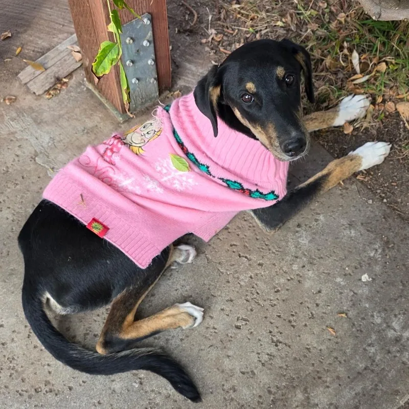 Hope & Faith & thumbnail 6