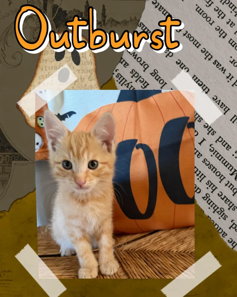 Outburst thumbnail 2
