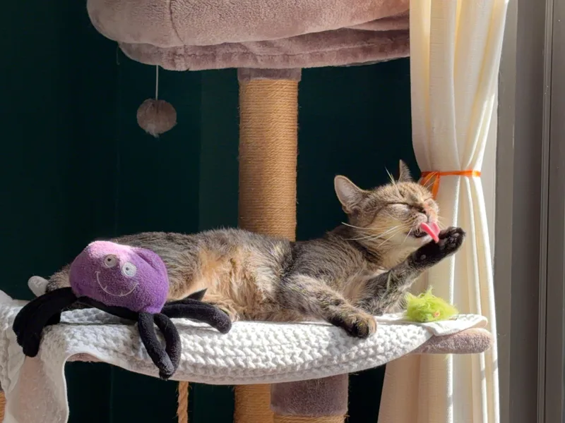 Wonderful Winnie thumbnail 3