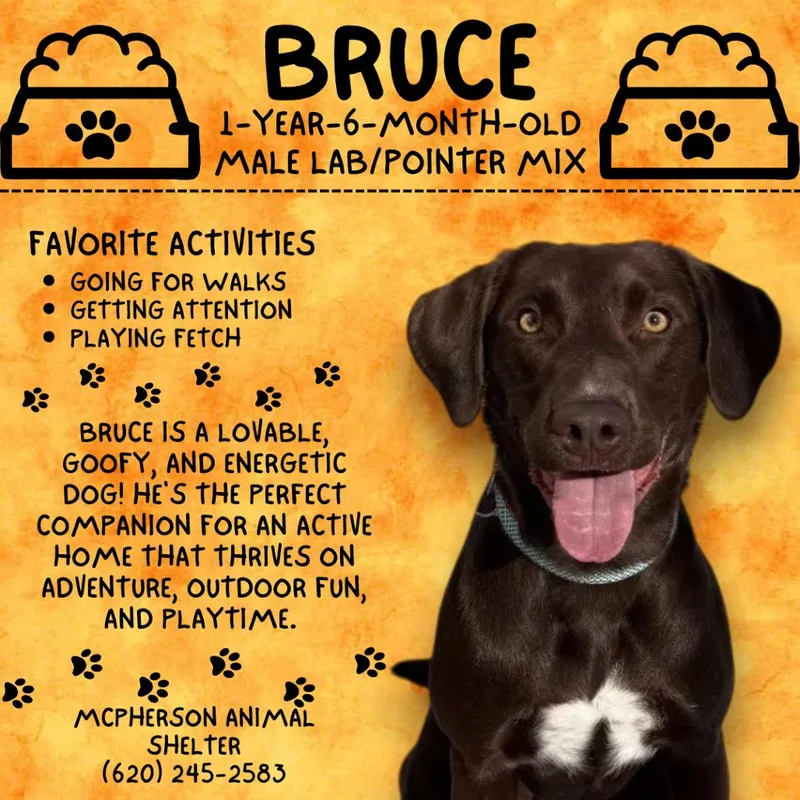 Bruce thumbnail 2