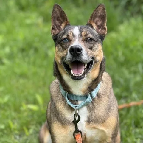 Maverick thumbnail 6