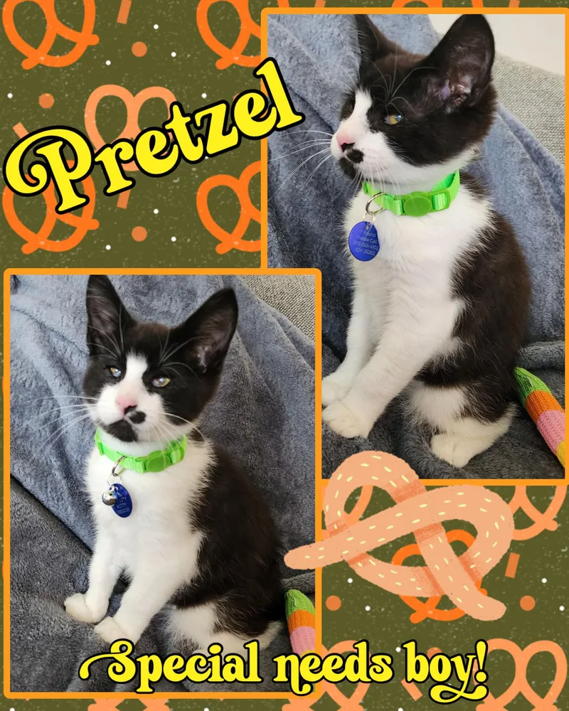 Pretzel thumbnail 3
