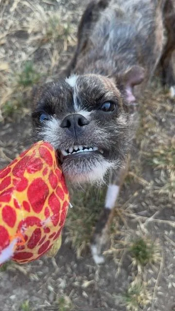 Banjo thumbnail 2