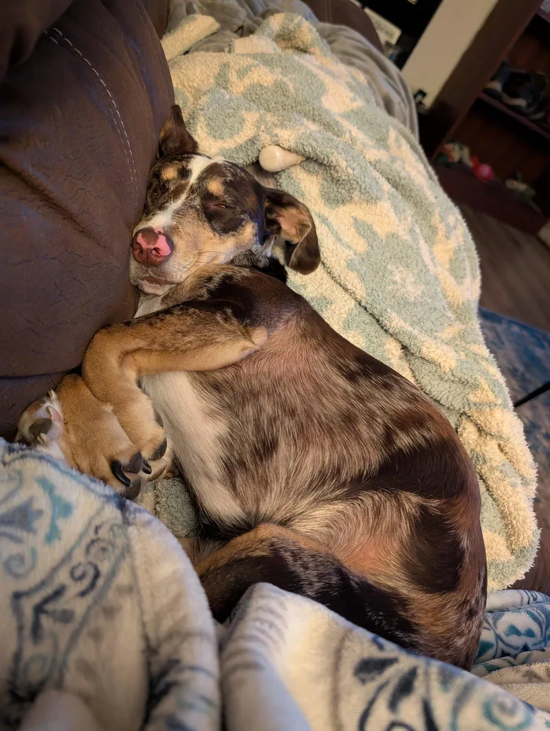 Willow Ray thumbnail 2