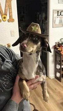 Willow Ray thumbnail 3