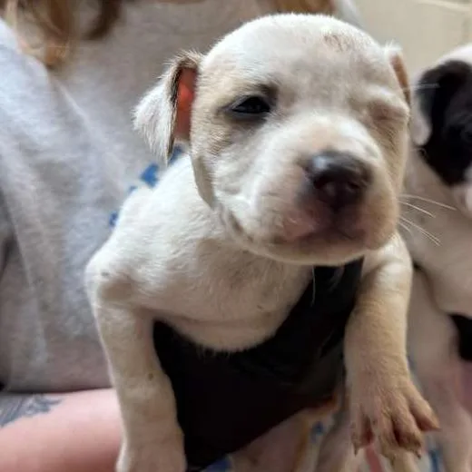 Conneticut thumbnail 2