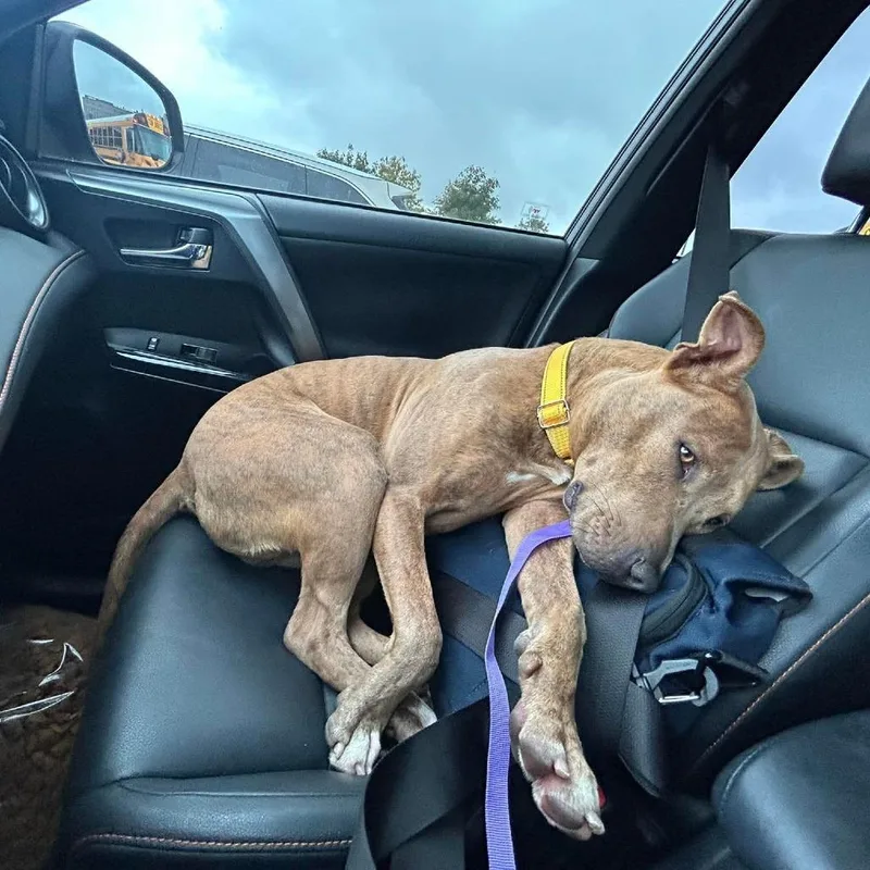 Billy Ray Cyrus thumbnail 2