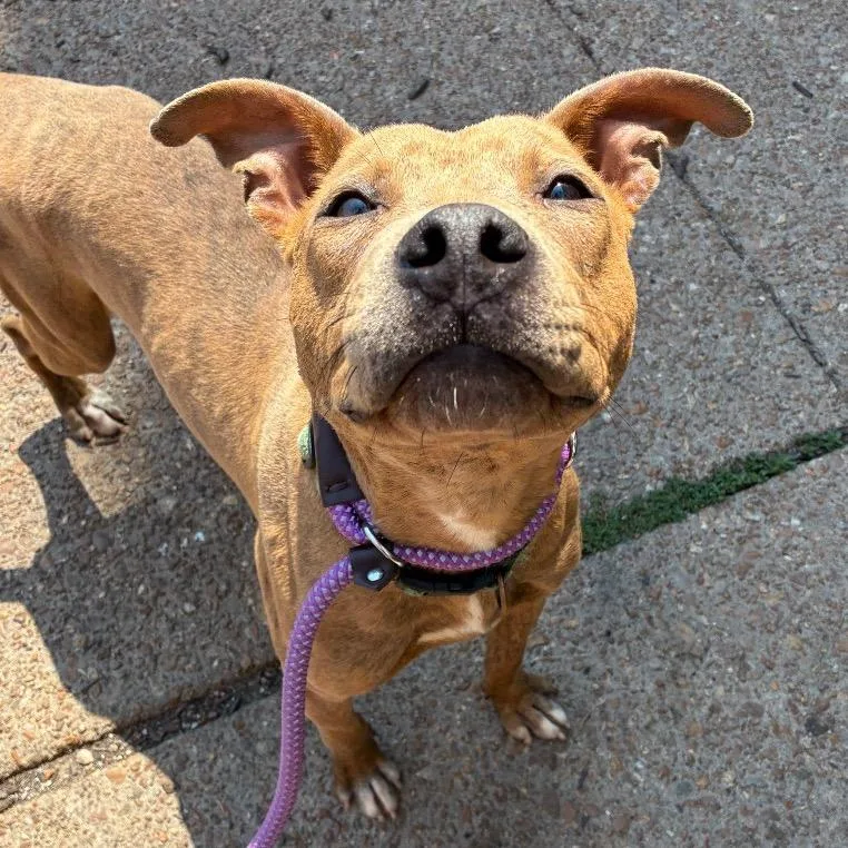 Billy Ray Cyrus thumbnail 3