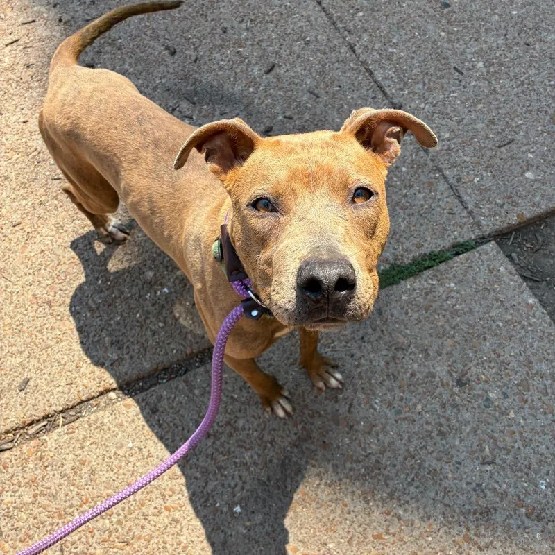 Billy Ray Cyrus thumbnail 4