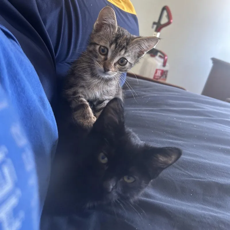 Avalanche Warning thumbnail 2