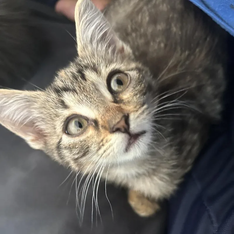 Avalanche Warning thumbnail 3