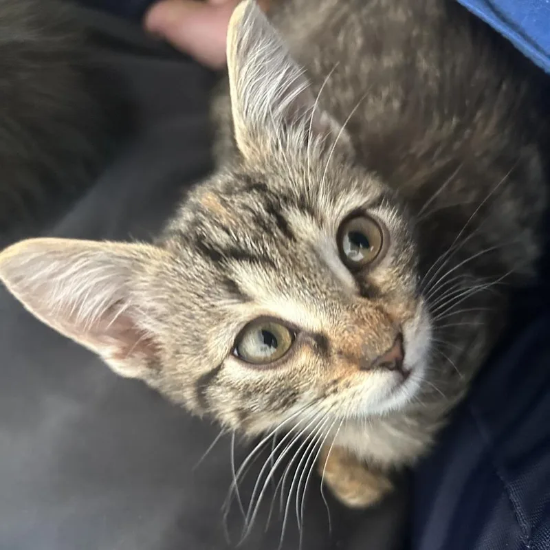 Avalanche Warning thumbnail 5