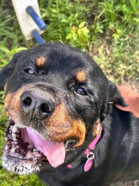 Reagan