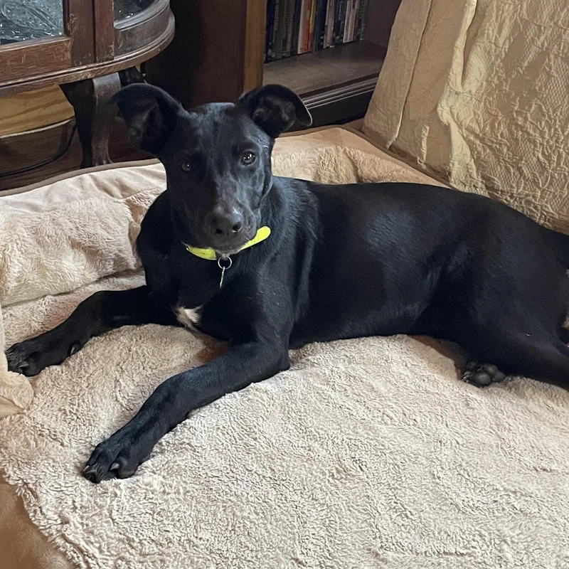 Hannah  In The thumbnail 2