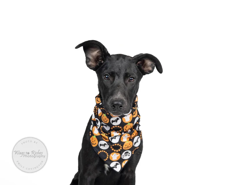 Hannah  In The thumbnail 3