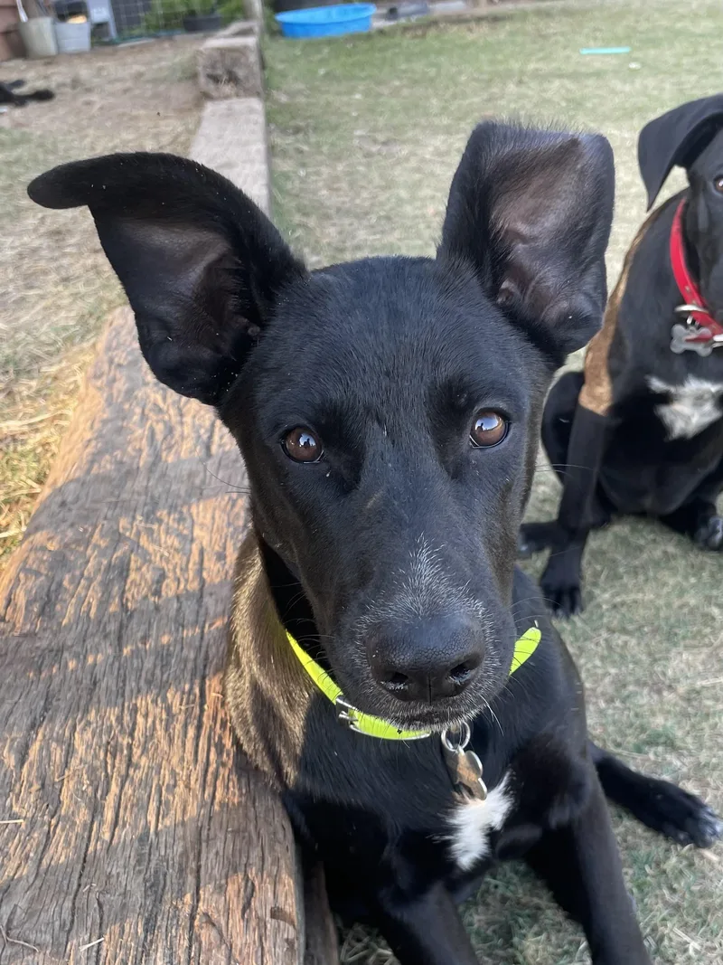 Hannah  In The thumbnail 5