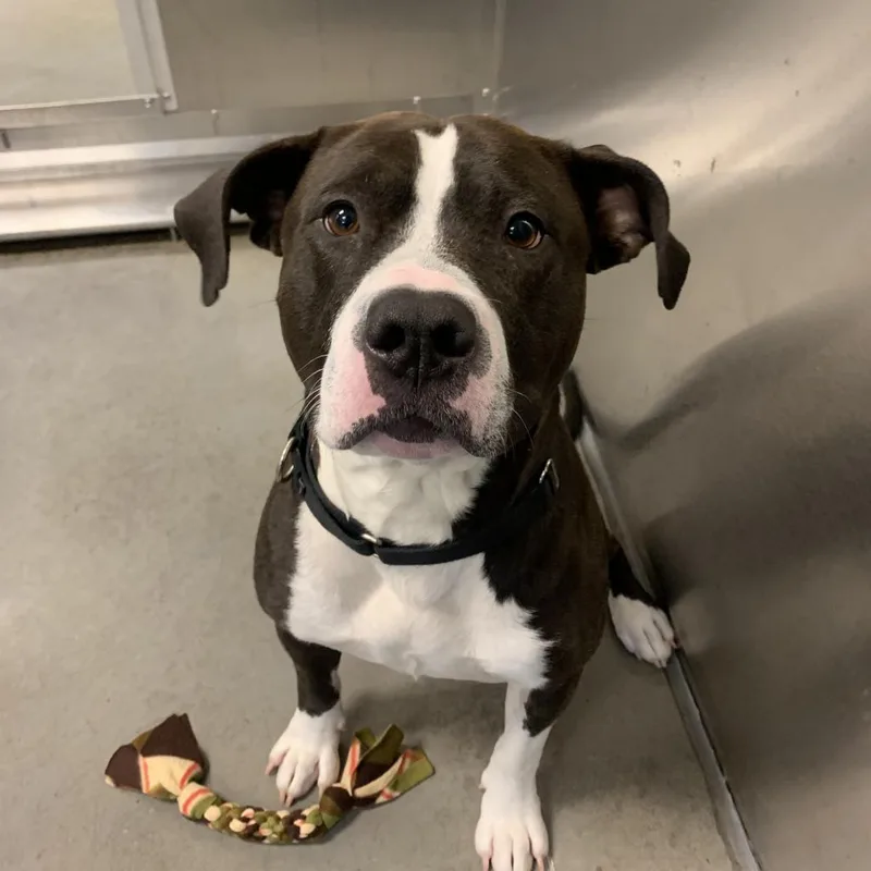 Dr. Zeus thumbnail 3