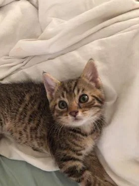 Maryeevee thumbnail 2