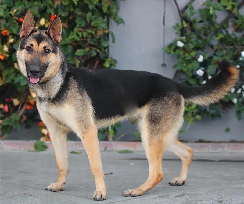 Candace Von Celle thumbnail 5