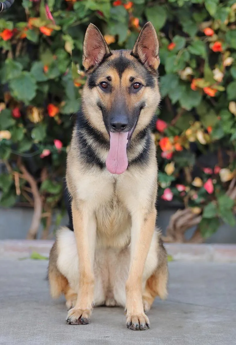 Candace Von Celle thumbnail 6