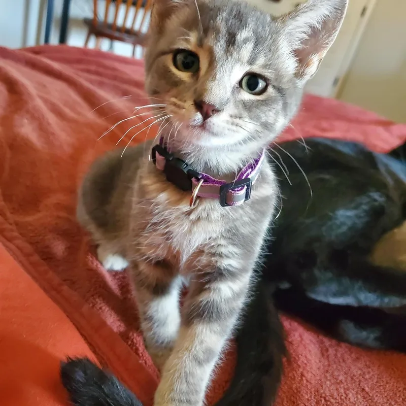 Athena  bonded to thumbnail 5