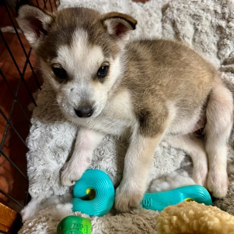 Katherine thumbnail 2