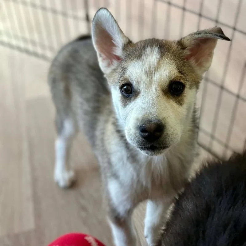 Katherine thumbnail 3