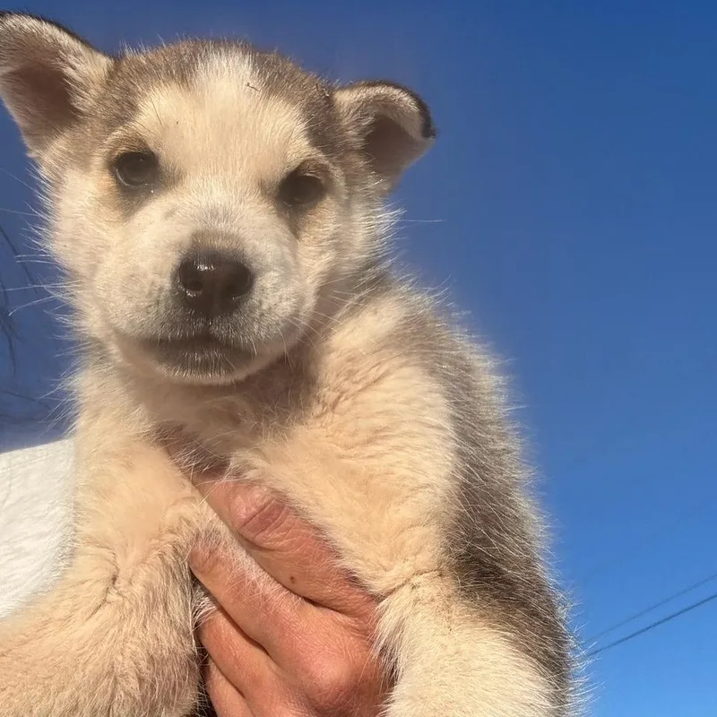 Katherine thumbnail 4