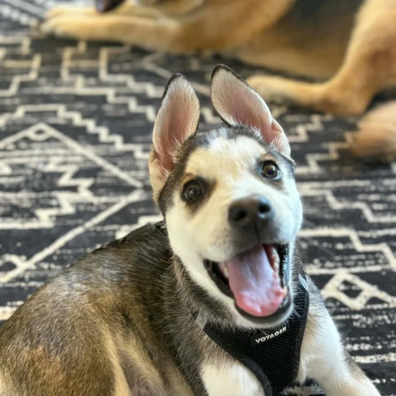 Katherine thumbnail 5