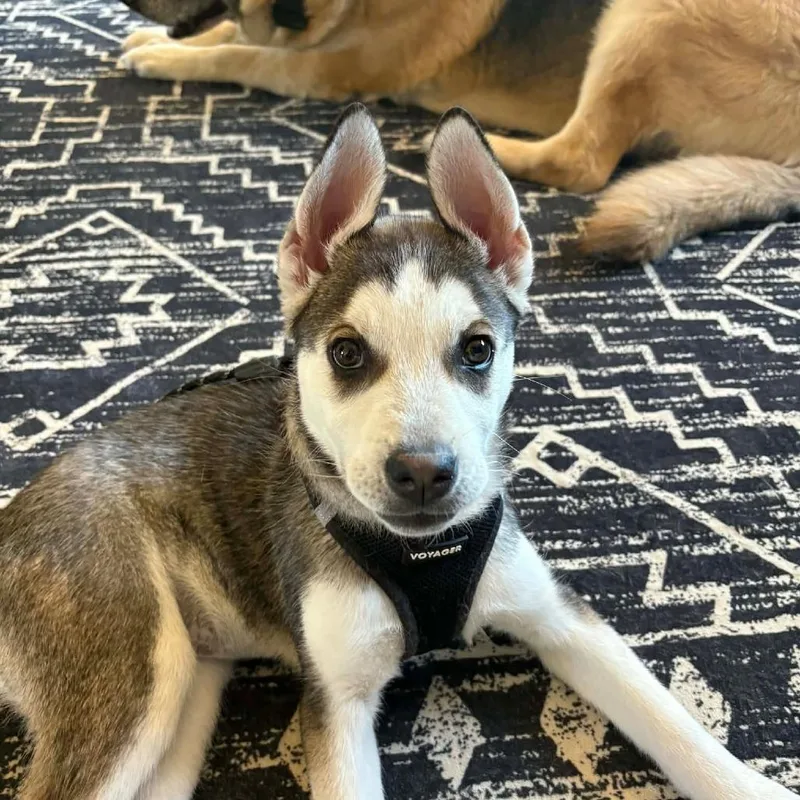 Katherine thumbnail 6