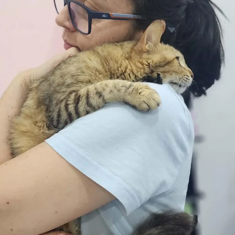 Mochi  Qatar thumbnail 2