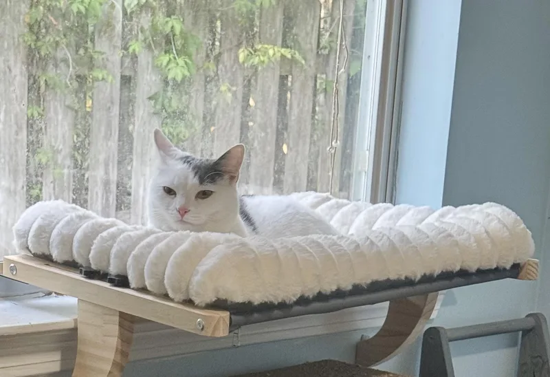 Pocket & Posey thumbnail 2