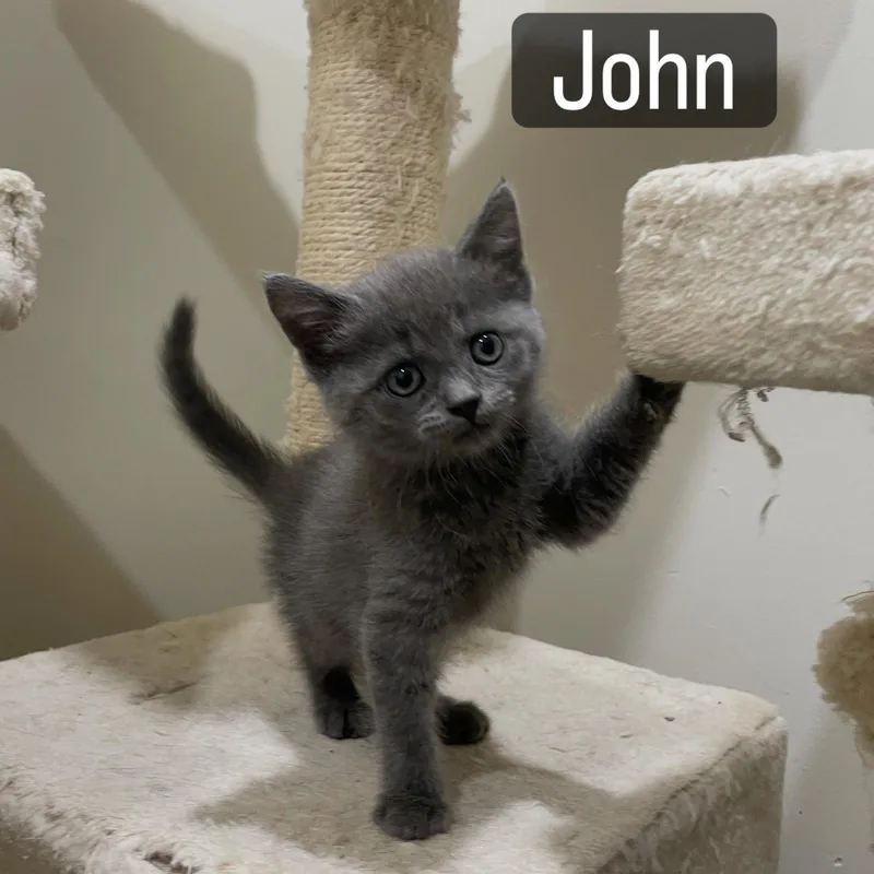 John thumbnail 2