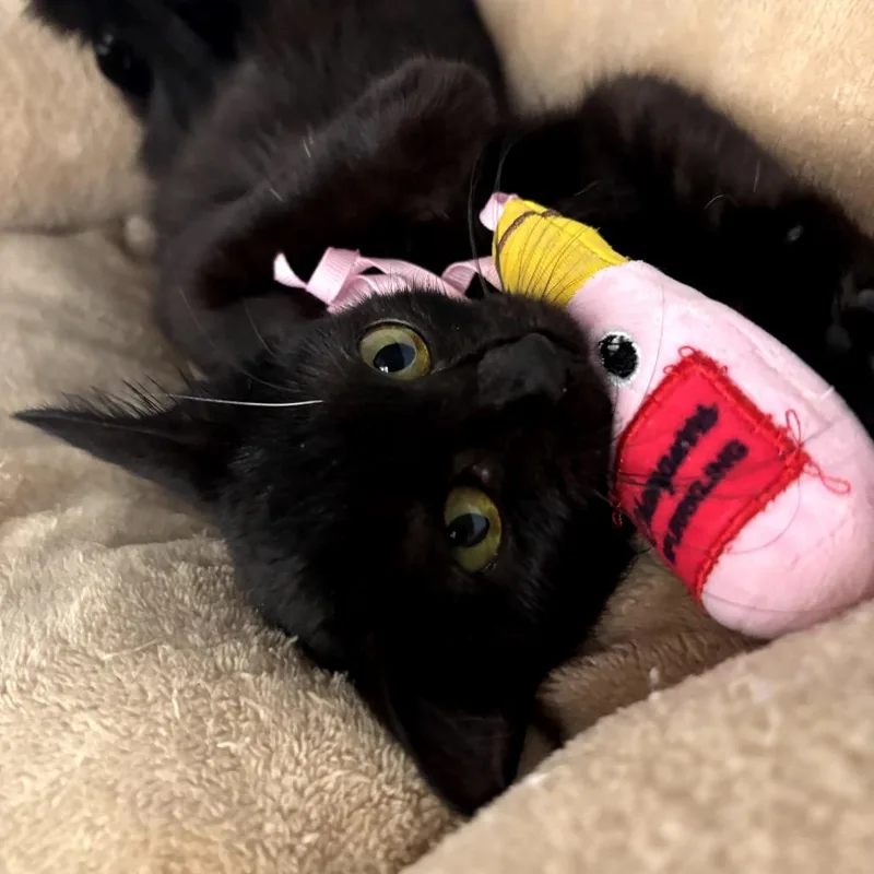 Gabby thumbnail 3