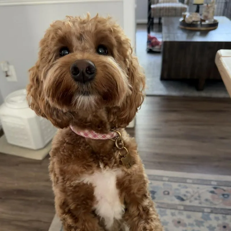 Millie