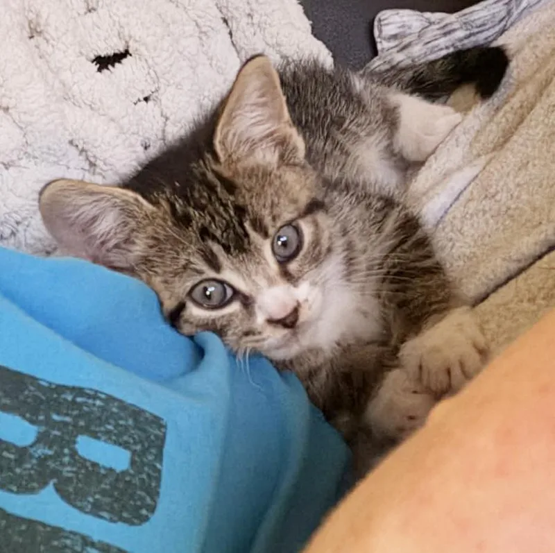 Bluegill Bobber Is Our thumbnail 5