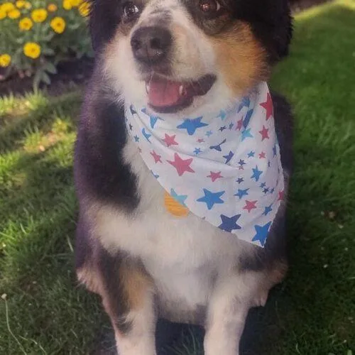 Julie