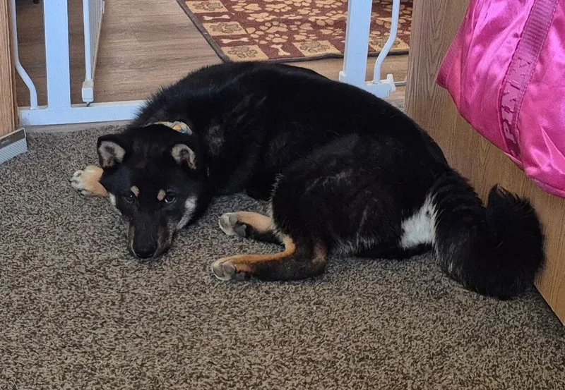 Guinness thumbnail 2