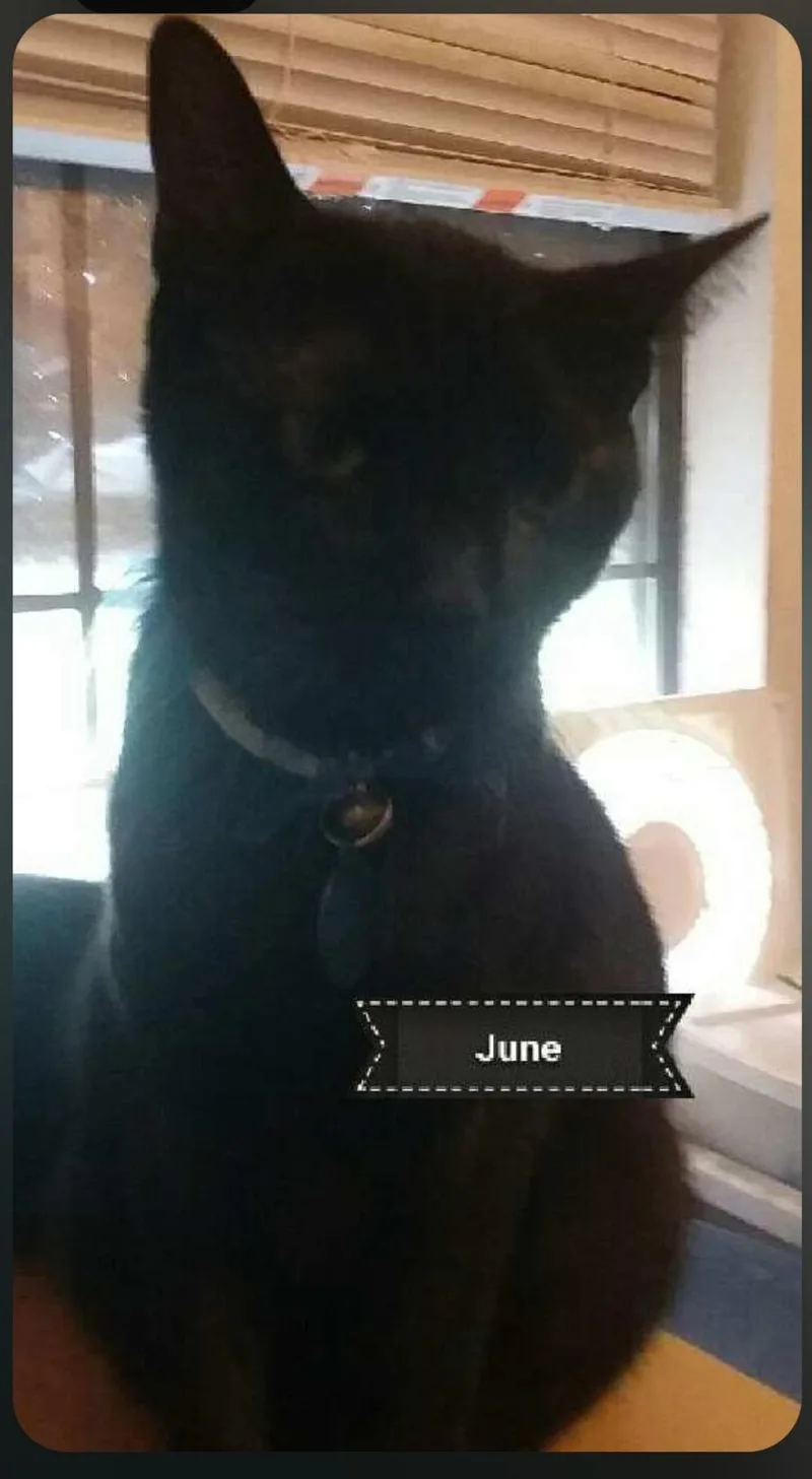 June