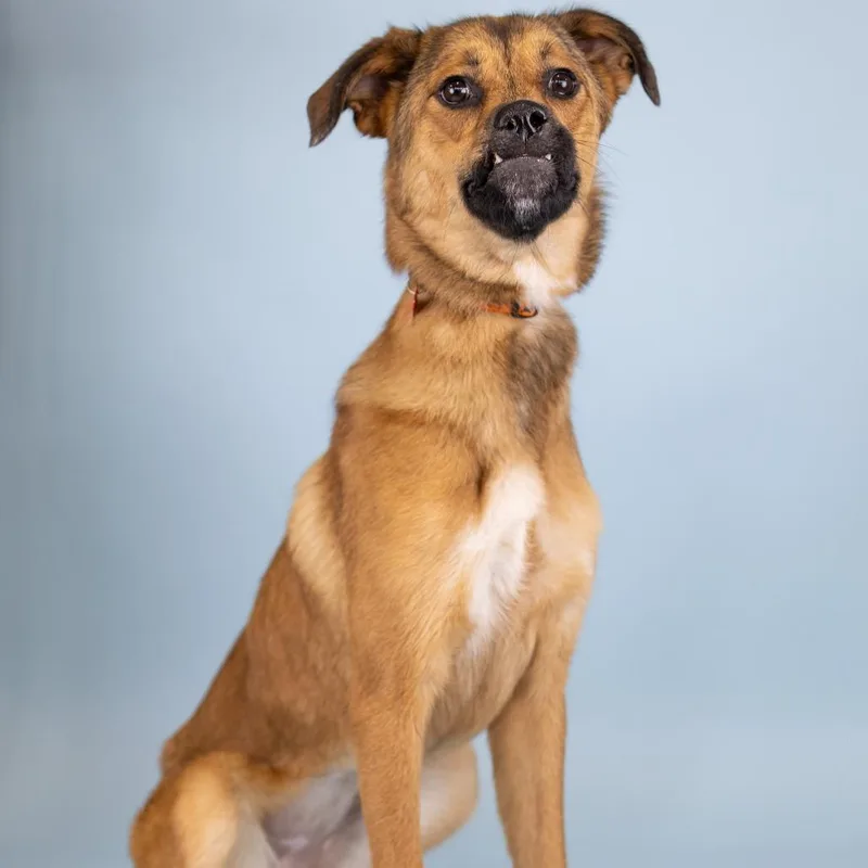 Cranberry thumbnail 2