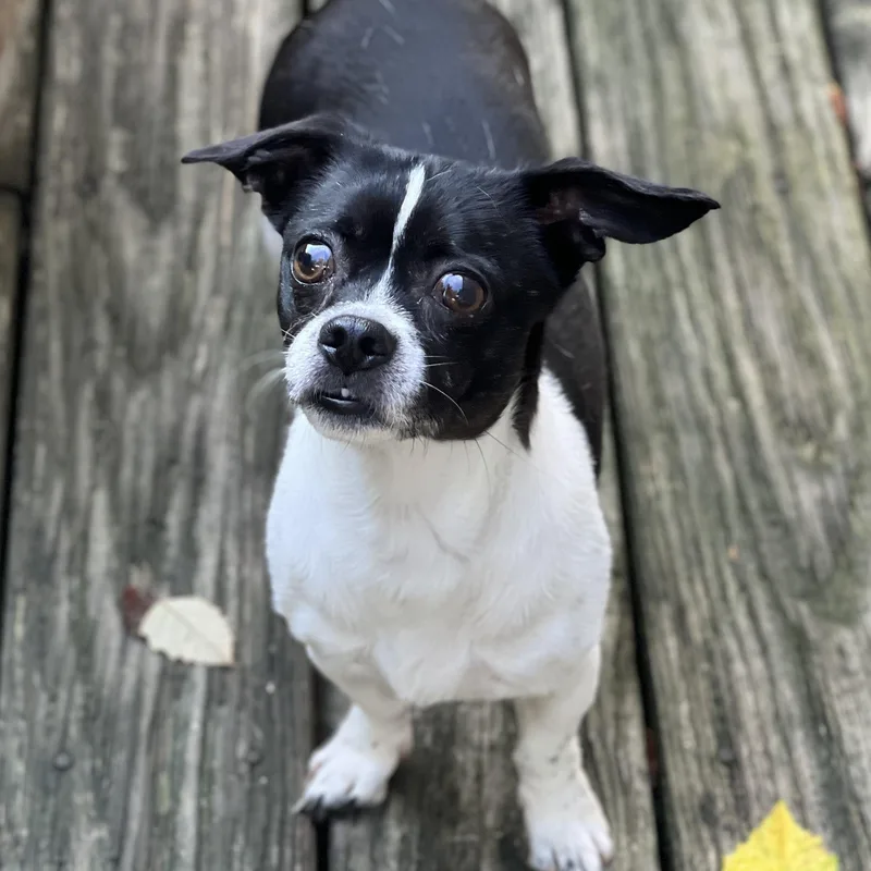 Charlie