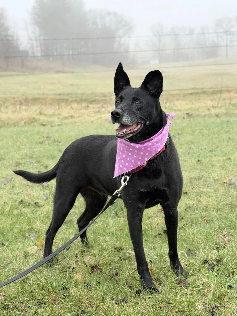 Mary Ann thumbnail 2