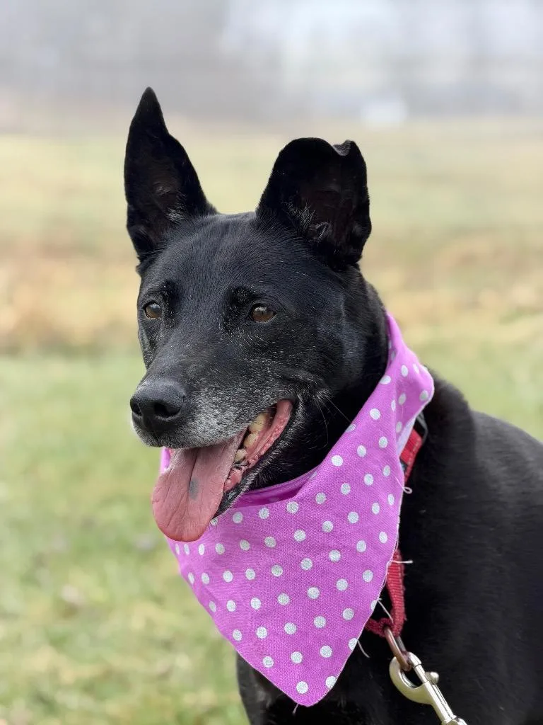 Mary Ann thumbnail 3